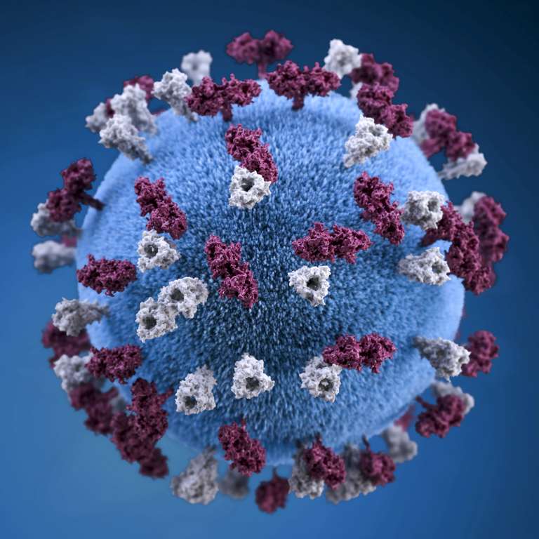 covid-19-coronavirus-covid-cell-pandemic-corona-virus-1608799-pxhere